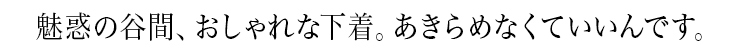 魅惑の谷間、おしゃれな下着。あきらめなくていいんです。