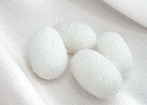 人間の肌に一番近い繊維