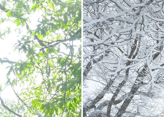 夏涼しく、冬はあたたか