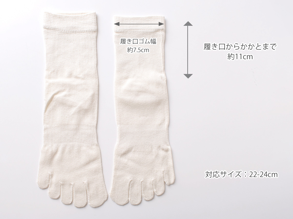 レディース シルク ５本指 靴下 3足セット ハイゲージ 婦人用