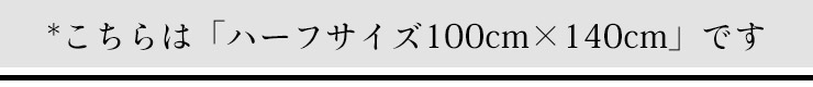 極上家蚕 シルク毛布（ハーフサイズ）  日本製 