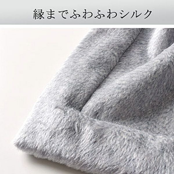 極上家蚕 シルク毛布（ハーフサイズ） 日本製 イーズクリエーション本店
